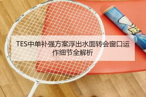 TES中单补强方案浮出水面转会窗口运作细节全解析（Kaiyun）